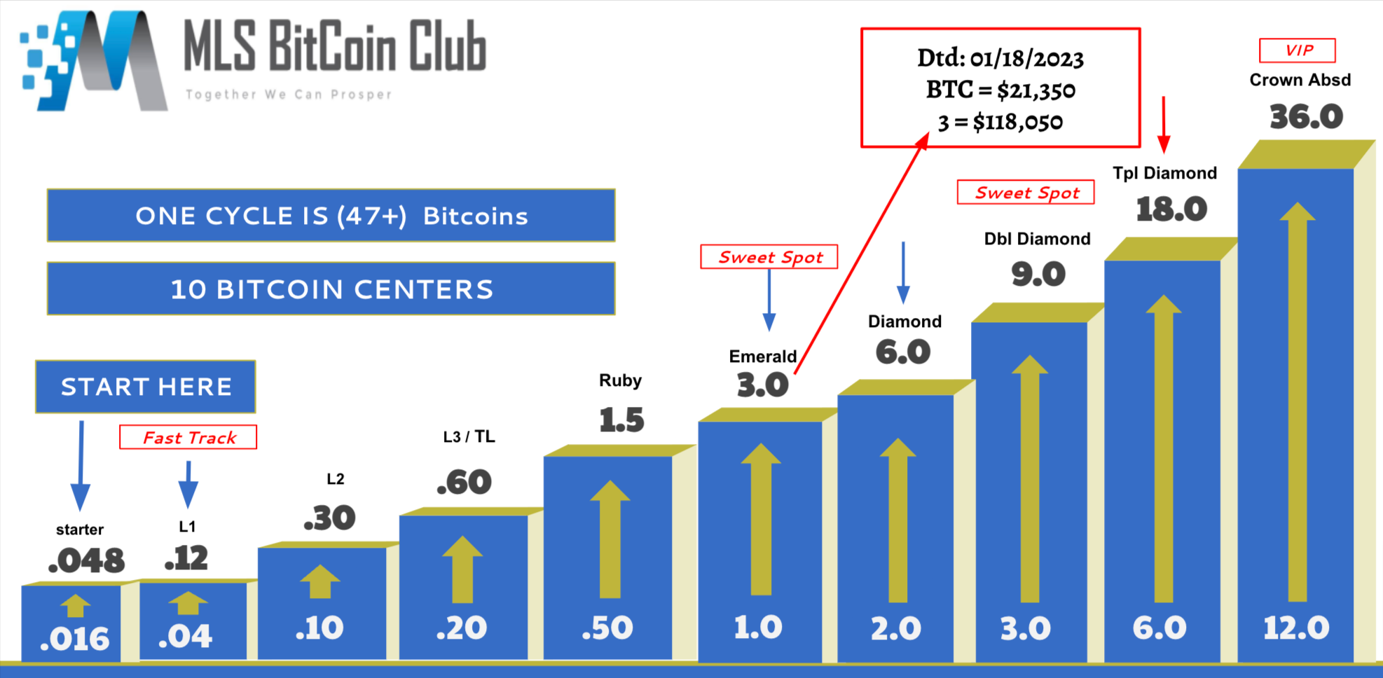 mls bitcoin club